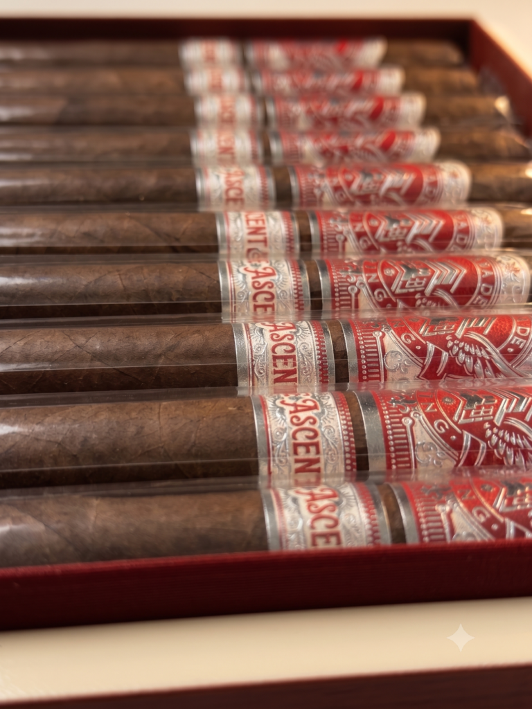 A close-up, angled shot of a row of premium cigars neatly arranged in a box. The focus is sharp on the intricate double bands, displaying the "Casa de Wing" brand crest with silver foil wings on a deep red background, paired with a cream secondary band featuring the word "Ascent" in bold red text. The cigars are wrapped in protective cellophane, showcasing smooth, dark brown wrappers.